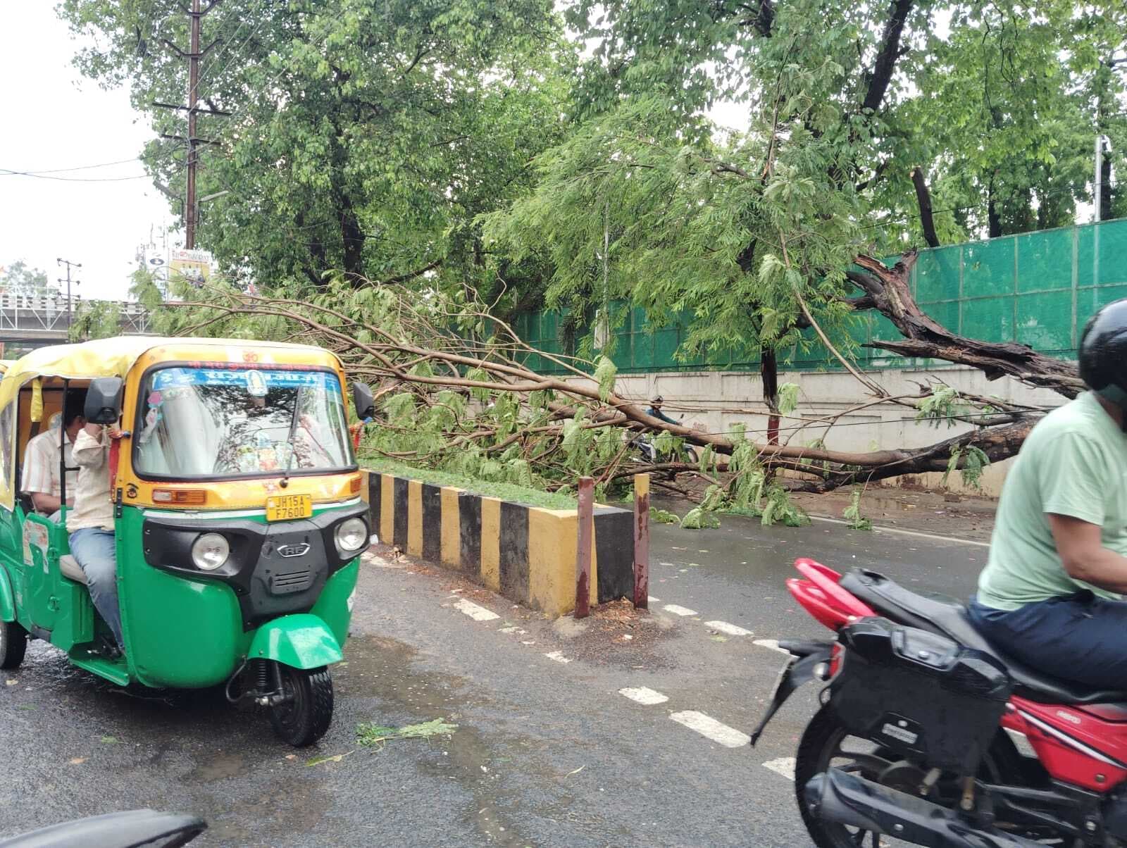 आंधी-बारिश में कई जगहों पर गिरे पेड़, बिजली हुई बाधित