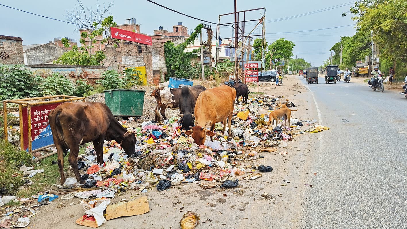 नगर की साफ सफाई भगवान भरोसे, जहां मिला खाली वहीं कर दिया कचरे का निस्तारण