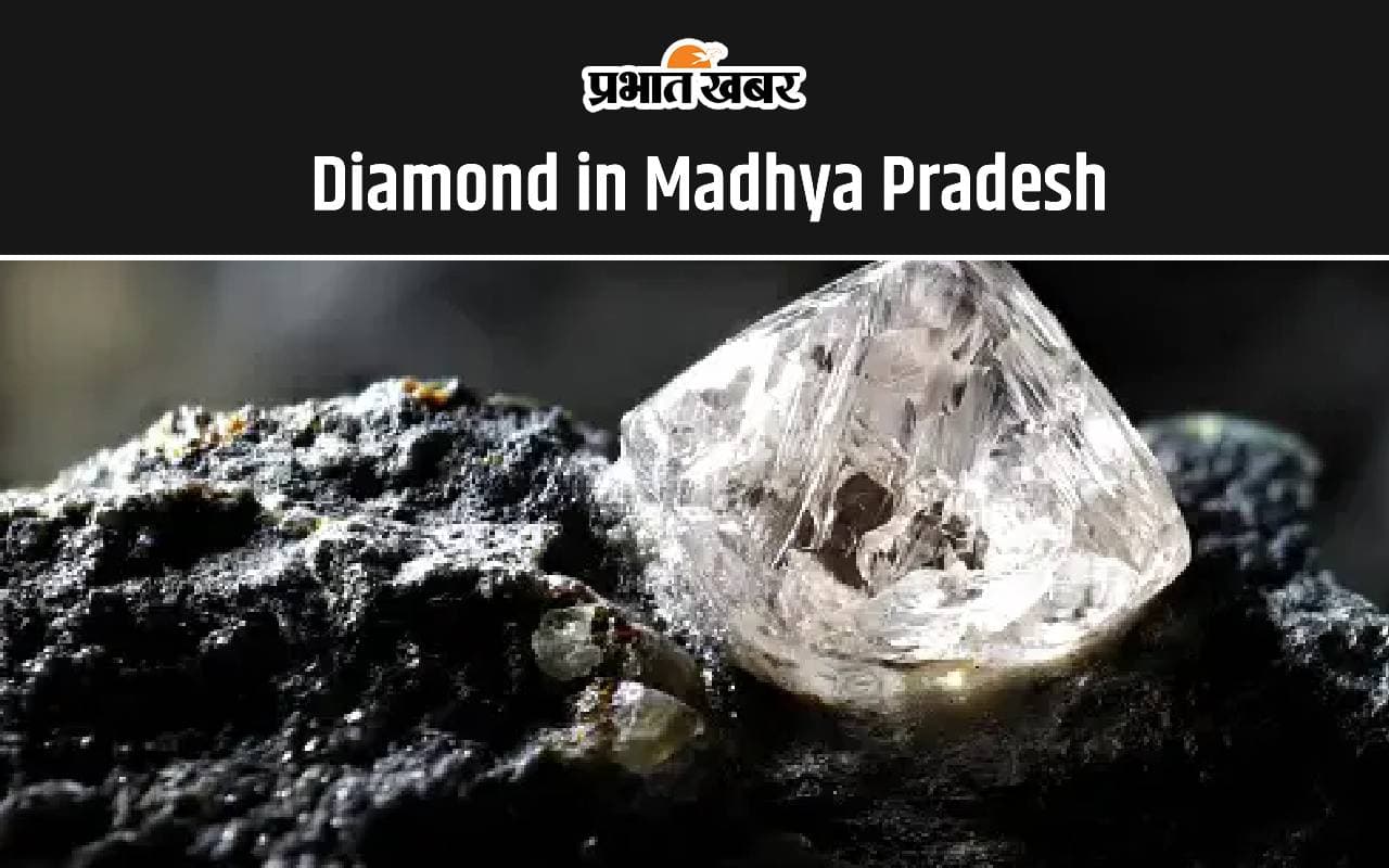 Diamond in Madhya Pradesh: खदान में खुदाई करते समय मजदूर को मिला 1 करोड़ रुपए कीमत का हीरा, आइए जानें किस जिले में है हीरे का भंडार
