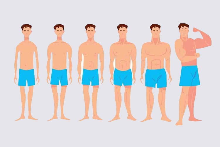 Healthy weight gain : इन तरीकों से जल्दी बढ़ेगा आपका वजन , अपनाएं ये आसान टिप्स