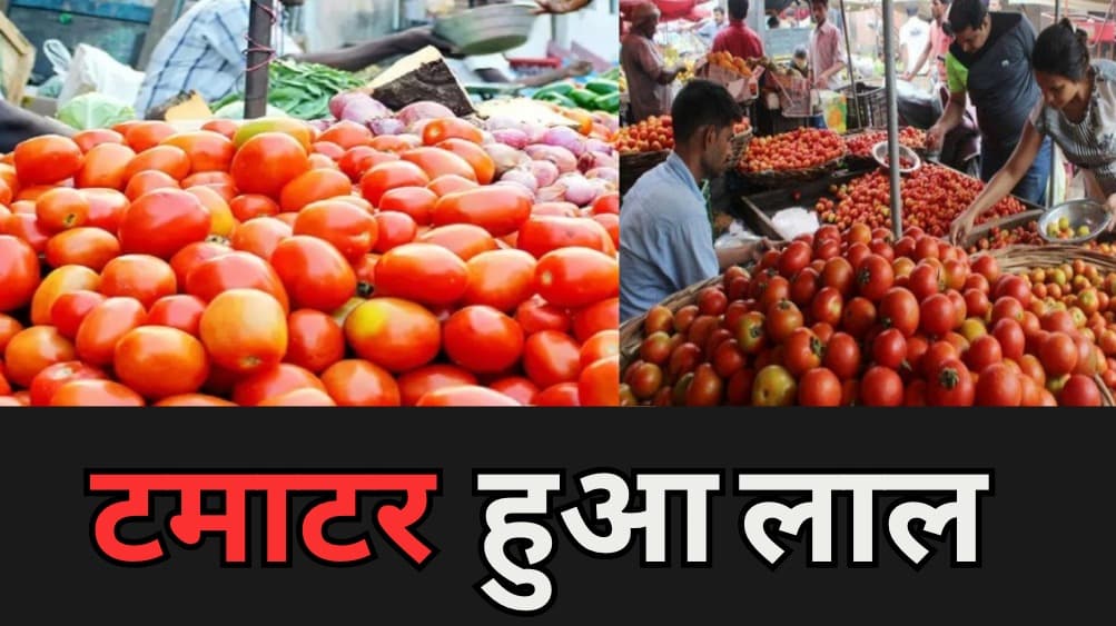 Patna Vegetable Market: रसोई में लगी है आग? टमाटर हुआ लाल….