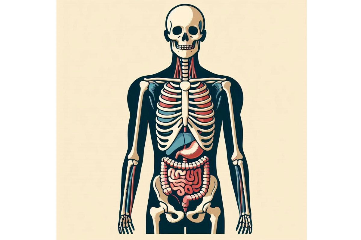 Body detox: प्राकृतिक तरीकों से अपने शरीर को डेटॉक्सीफाय करें