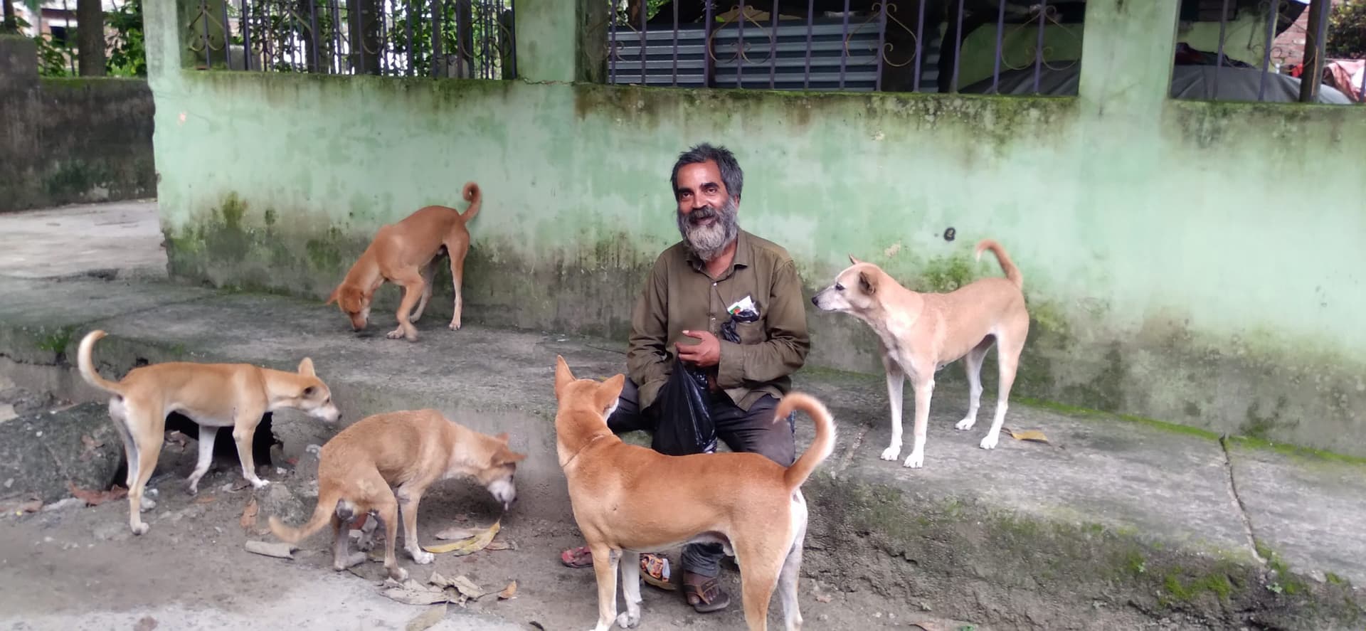नफरत के इस दौर में जानवर से प्यार, हर दिन खिलाते हैं कुत्तों को आहार