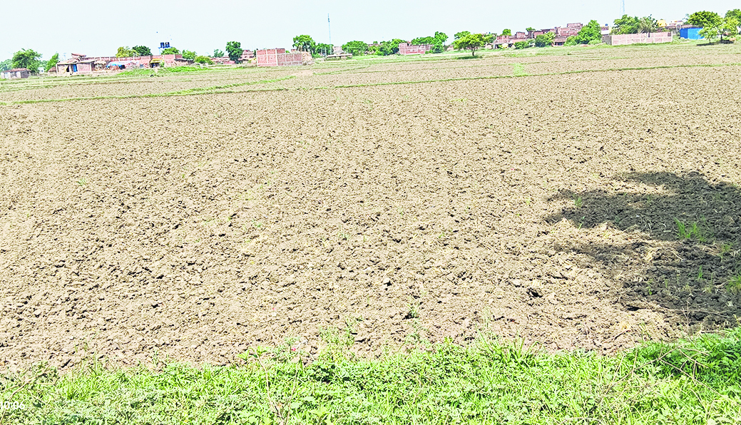 सूखे की आहट से सहमे किसान, खेतों में उड़ रही धूल