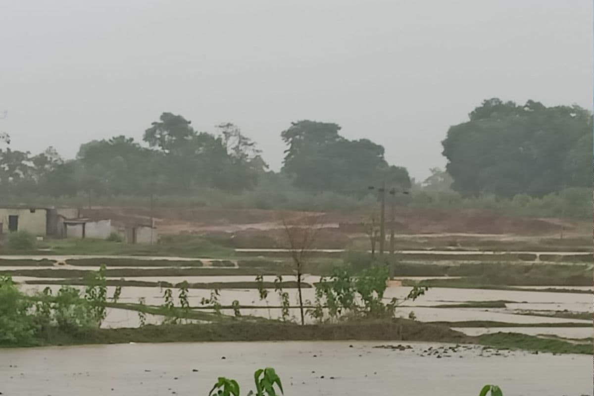 Jharkhand Weather: झारखंड में 8 जुलाई तक बारिश के आसार, भारी वर्षा को लेकर येलो अलर्ट जारी