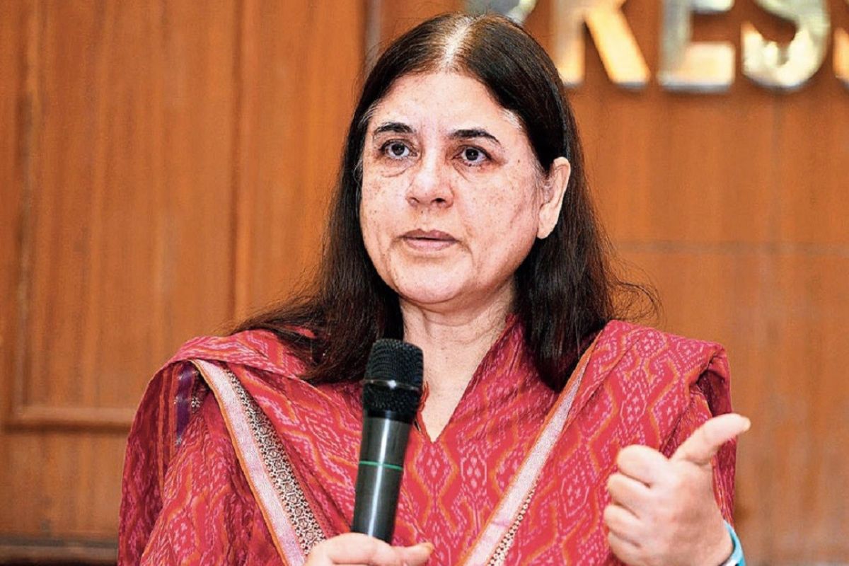 Birthday: मेनका गांधी का जन्मदिन आज, राजीव गांधी के खिलाफ अमेठी में लड़ा था पहला लोकसभा चुनाव