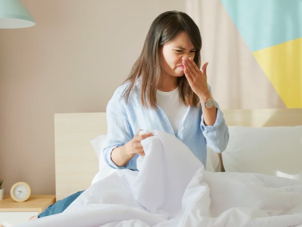 Room Care Tips : बरसात के कारण रूम से आ रही है अजीब सी दुर्गंध, यहां है 7 कुछ आसान टिप्स एंड ट्रिक्स