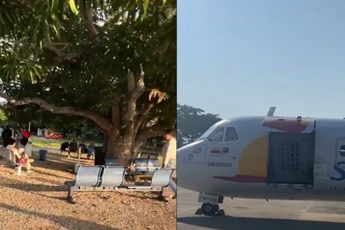 Viral Video: दुनिया का सबसे छोटा एयरपोर्ट, पेड़ के नीचे है वेटिंग एरिया