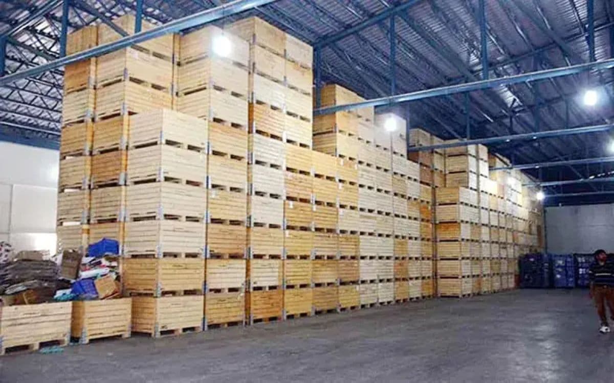 cold storage news of bihar | Cold Storage New Scheme: Government will give 50 percent grant on construction of cold storage in these 12 districts of Bihar cold storage news of bihar | Cold Storage New Scheme: Government will give 50 percent grant on construction of cold storage in these 12 districts of Bihar