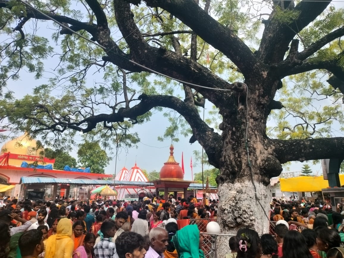 रात्रि दो बजे ही खुला सोमेश्वरनाथ महादेव का पट