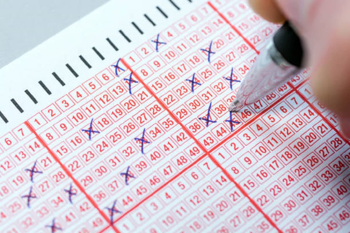 Dear Rakhi Bumper Lottery Result 2024: थोड़ी देर में जारी किये जाएंगे पंजाब स्टेट डियर राखी बंपर लॉटरी के नतीजे