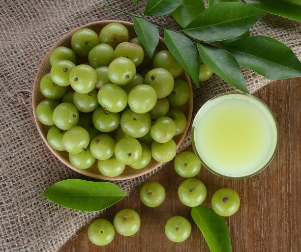 Gooseberry Benefits: छोटे से फल के चमत्कारी लाभ, रोज एक आंवला खाने से होंगे ये 7 बड़े फायदे
