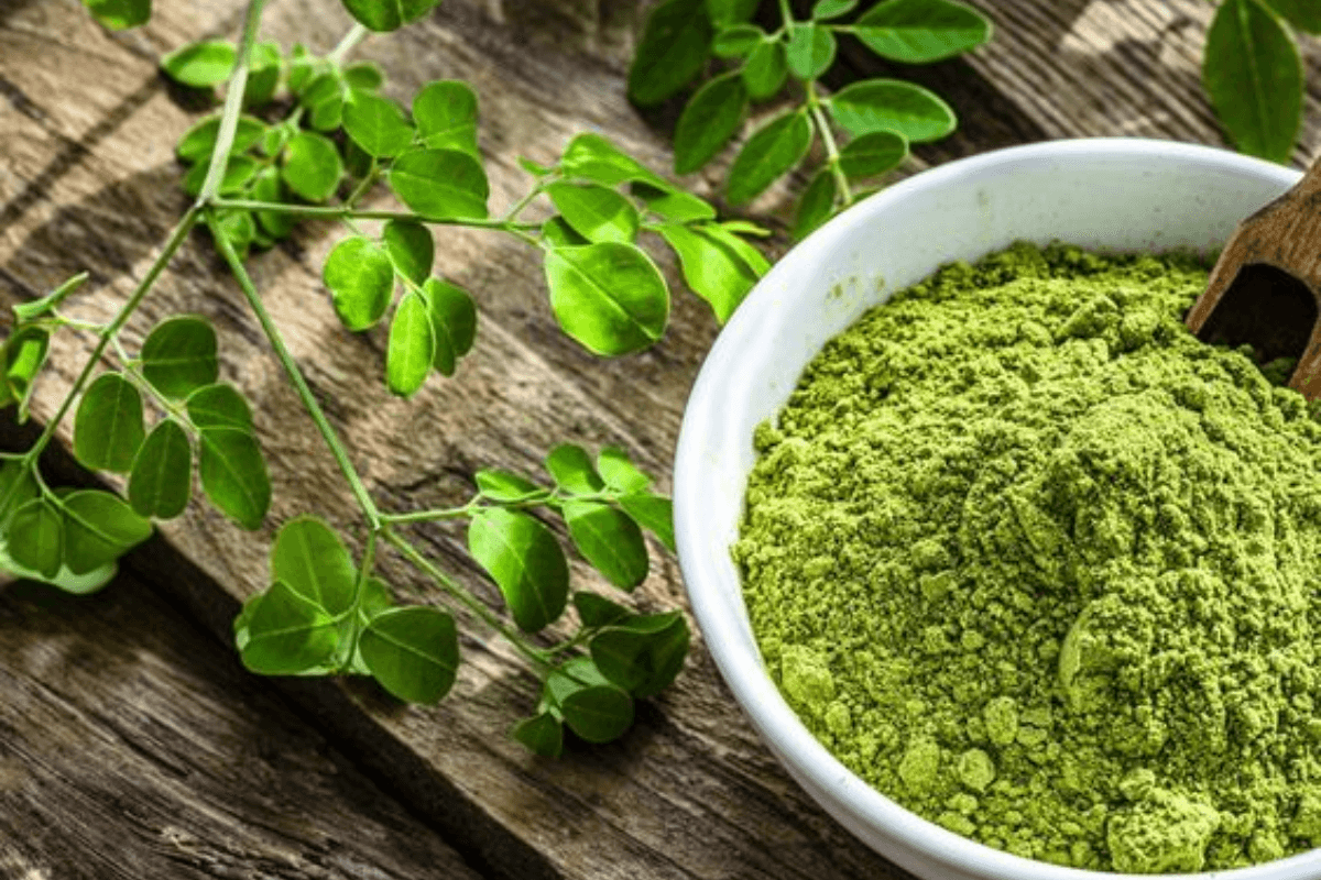 Moringa All-in-One Powder: घर पर ऐसे बनाये मोरिंगा का ऑल इन वन पाउडर बाल, स्किन और हेल्थ के लिए है गुणकारी Moringa All-in-One Powder: घर पर ऐसे बनाये मोरिंगा का ऑल इन वन पाउडर बाल, स्किन और हेल्थ के लिए है गुणकारी