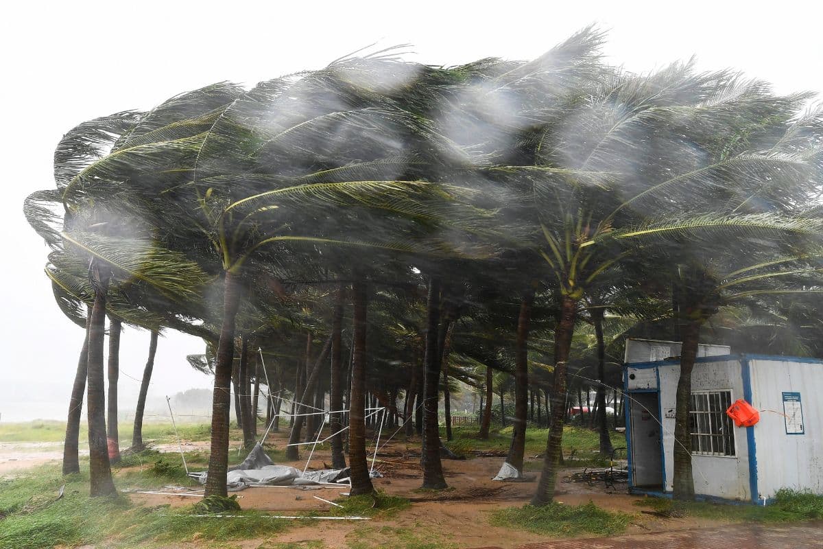 Cyclone Tracker: तूफान ‘यागी’ ने चीन और वियतनाम में मचाई तबाही, 8 की मौत, 200 से अधिक घायल