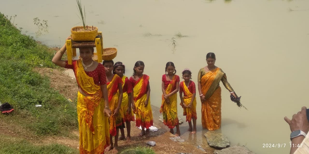 Jamshedpur News : फसलों की समृद्धि के लिए आभार व्यक्त करने का एक तरीका है जावा उगाने की परंपरा