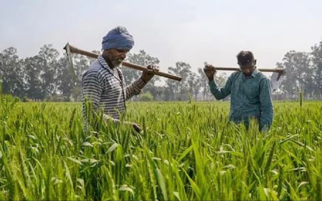 Bihar News: कृषि मार्केटिंग के लिए नहीं मिली राशि, ऑर्गेनिक खेती व रिसर्च पर सबसे अधिक खर्च