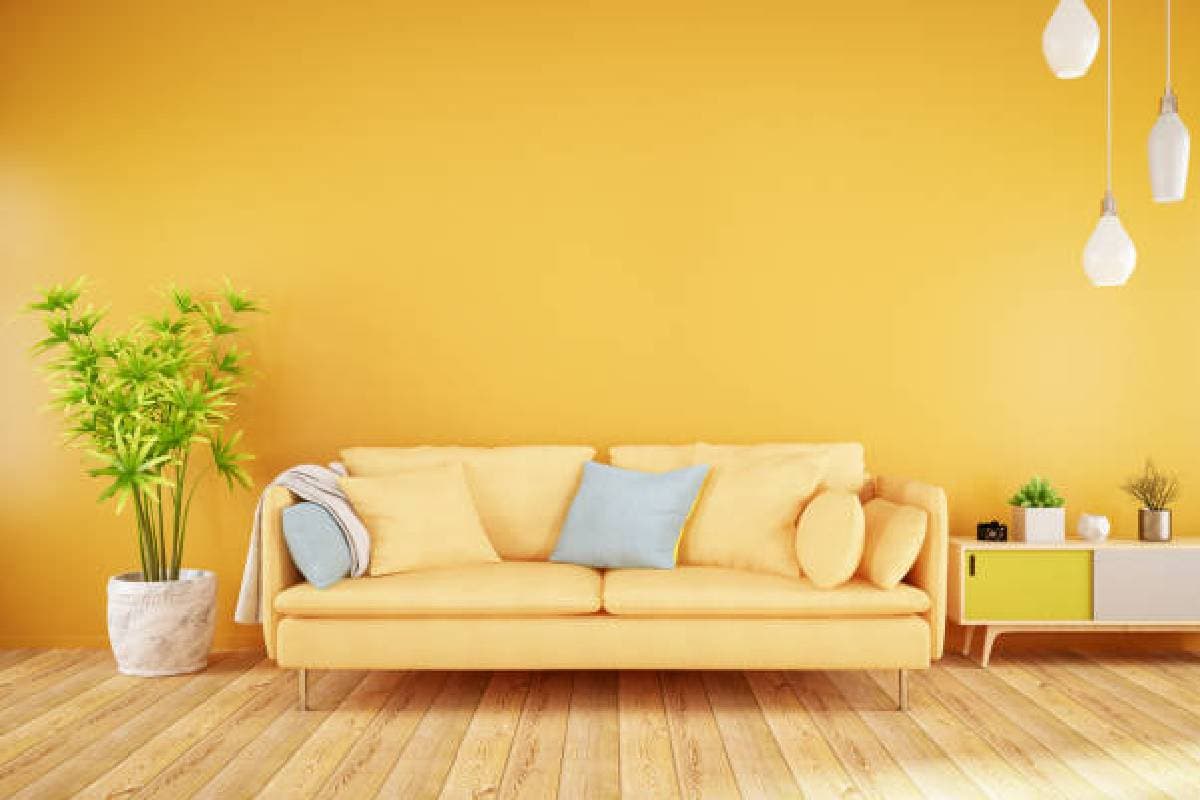 Yellow Colour Vastu Direction: घर के इस दिशा में रखें पीले रंग की वस्तु, धन को करेगा आकर्षित