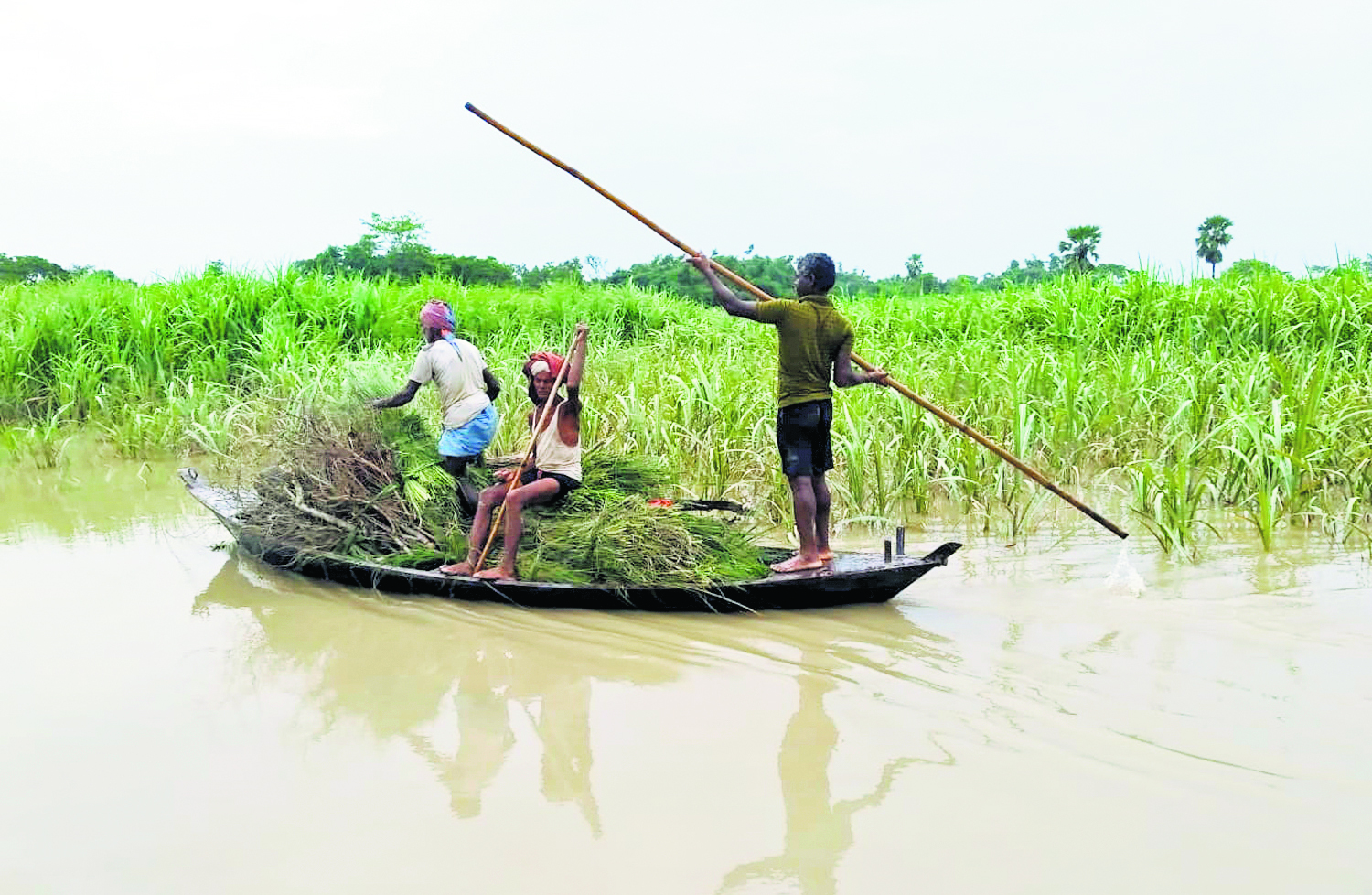 Gopalganj News : गंडक नदी का पानी घटने के बाद भी पटरी पर नहीं लौट पा रही जिंदगी, हर घंटे घट-बढ़ रहा जल स्तर