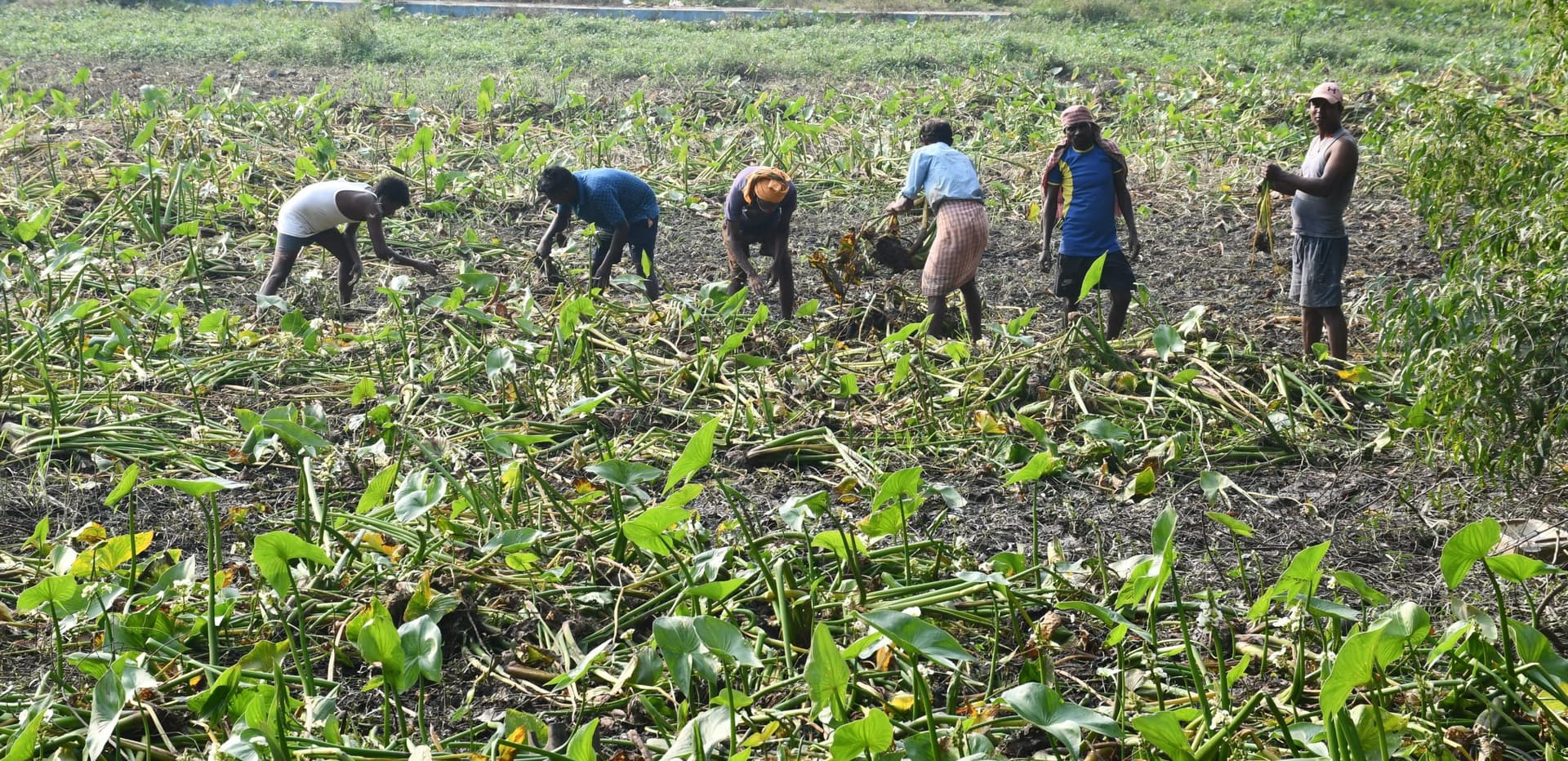 BOKARO NEWS : बोकारो में शुरू हुईं महापर्व छठ की तैयारियां, घाटों की हो रही सफाई