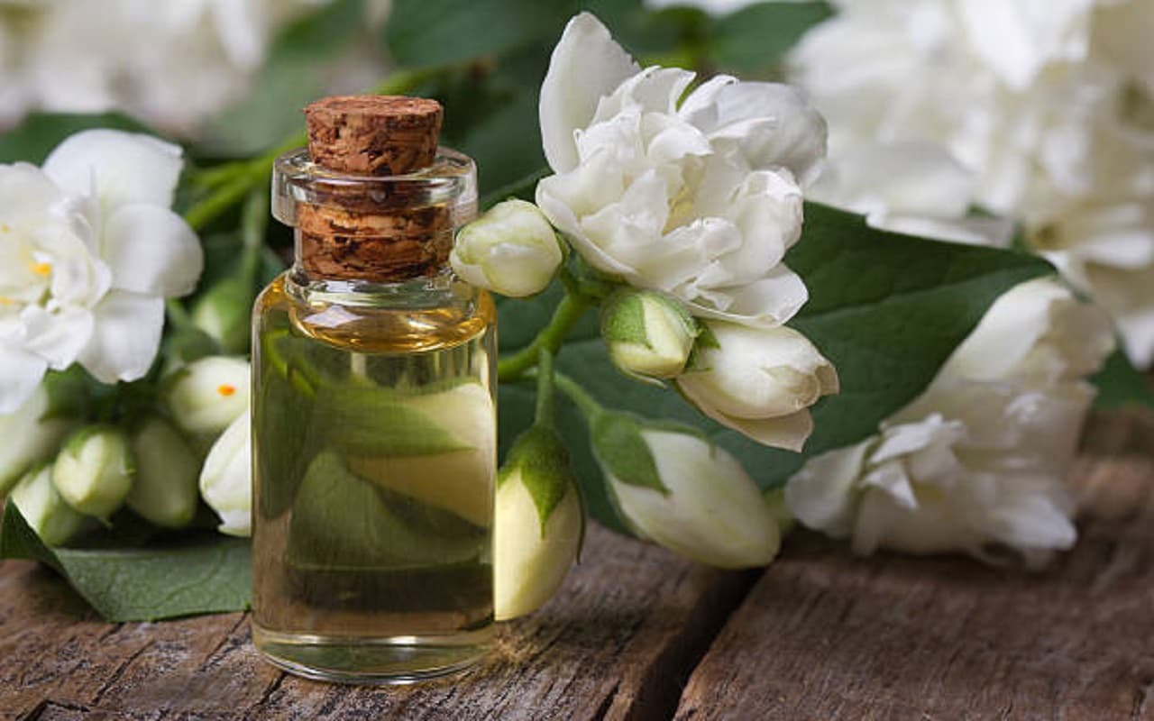 Skin Care: महंगे प्रोडक्टस के बिना अच्छी बनेगी स्किन, ऐसे करें जैस्मिन तेल का इस्तेमाल