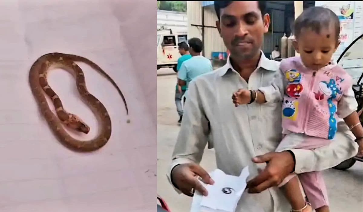 Bihar News: दस माह के बच्चे ने खिलौना समझकर मुंह में लिया सांप, फिर जो हुआ सुनकर हो जाएंगे हैरान