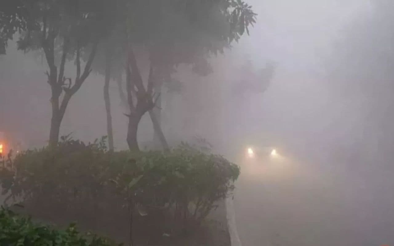 Bihar Weather: मुजफ्फरपुर में कोहरे ने वाहनों की रफ्तार पर लगाया ब्रेक, जानें ट्रेनों का हाल