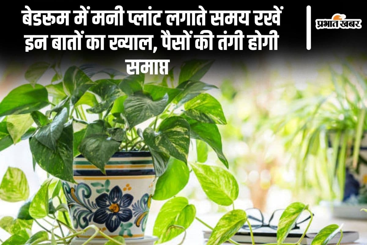Vastu Tips: बेडरूम में मनी प्लांट लगाते समय रखें इन बातों का ख्याल, पैसों की तंगी होगी समाप्त