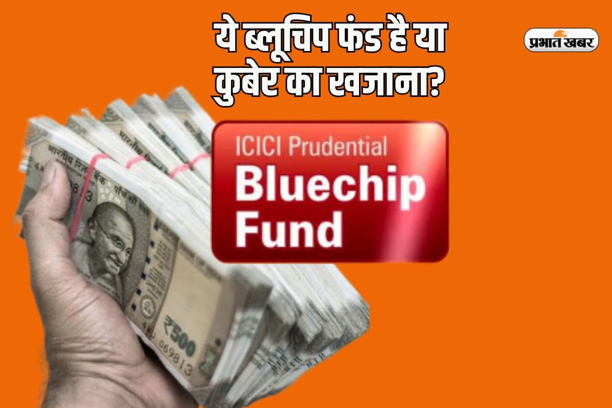 ये ब्लूचिप फंड है या कुबेर का खजाना? सिर्फ 12,000 से बन गए एक करोड़ रुपये ये ब्लूचिप फंड है या कुबेर का खजाना? सिर्फ 12,000 से बन गए एक करोड़ रुपये