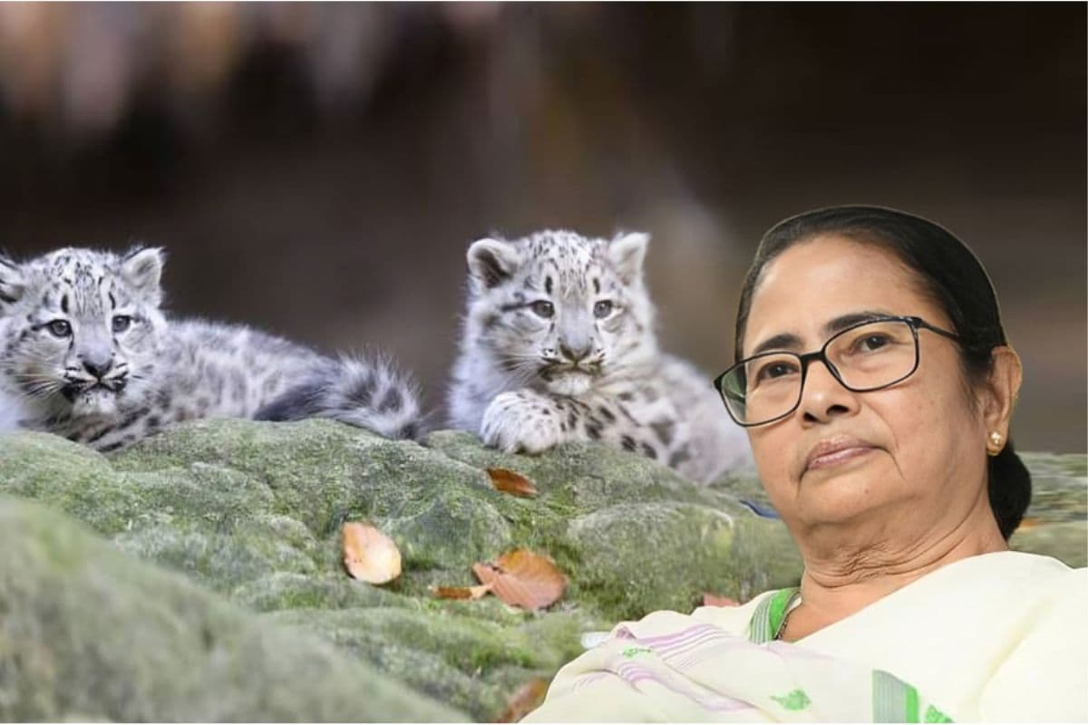 Mamata Banerjee : ममता बनर्जी ने किया चार्मिंग- डार्लिंग का नामकरण