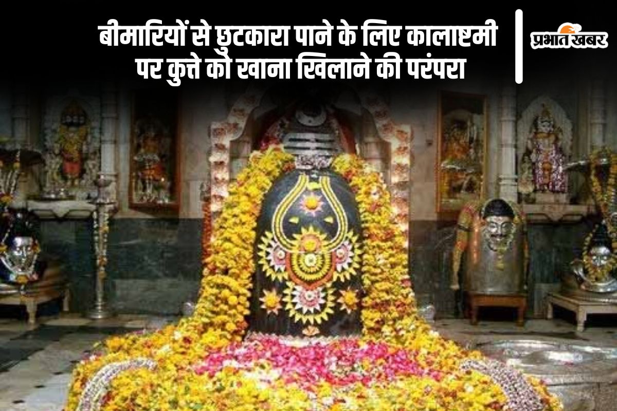 Margashirsha Kalashtami 2024 Upay: शनिवार को है कालाष्टमी, बीमारियों से छुटकारा पाने के लिए करें ये उपाय