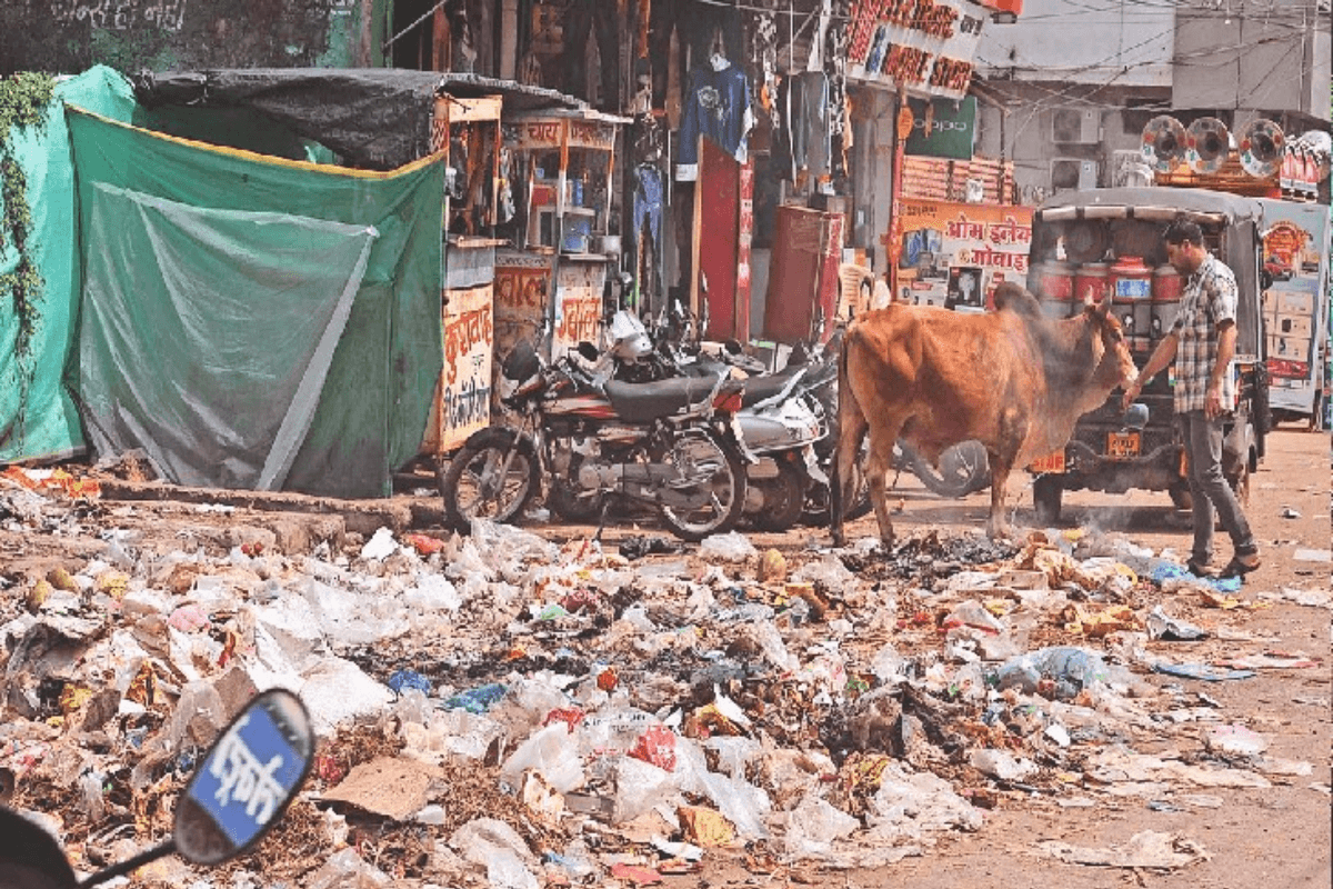 Muzaffarpur News: सड़कों पर पसरा है 200 टन कचरा, दुर्गंध में रहने को मजबूर शहरवासी