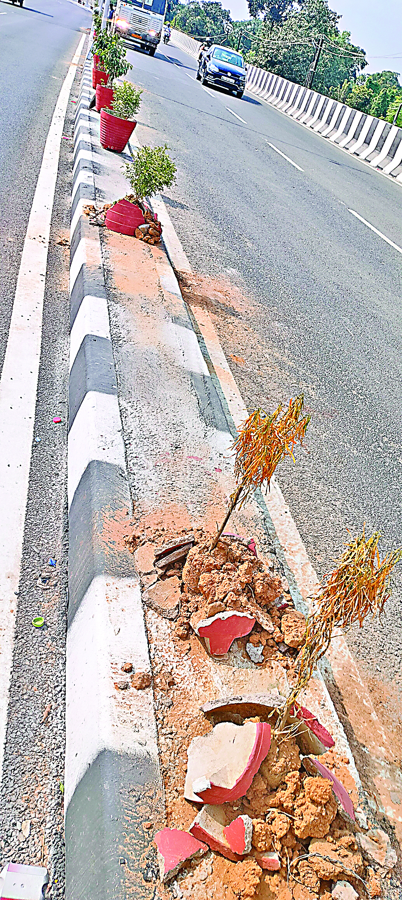 Ranchi News : 2.24 किमी के कांटाटोली फ्लाइओवर में अब बचे हैं गिनती के गमले