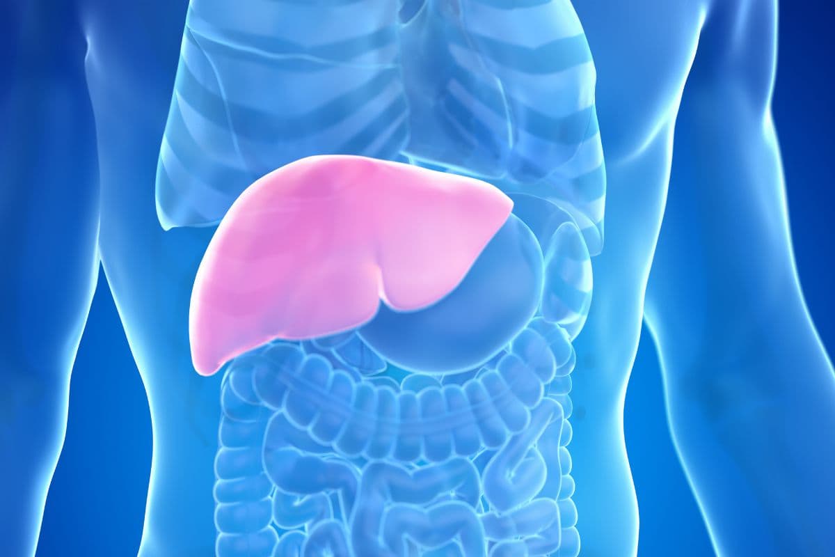 Health Tips: खराब हो रहे लिवर को बचाने के लिए पिएं ये डिटॉक्स ड्रिंक्स, जानें