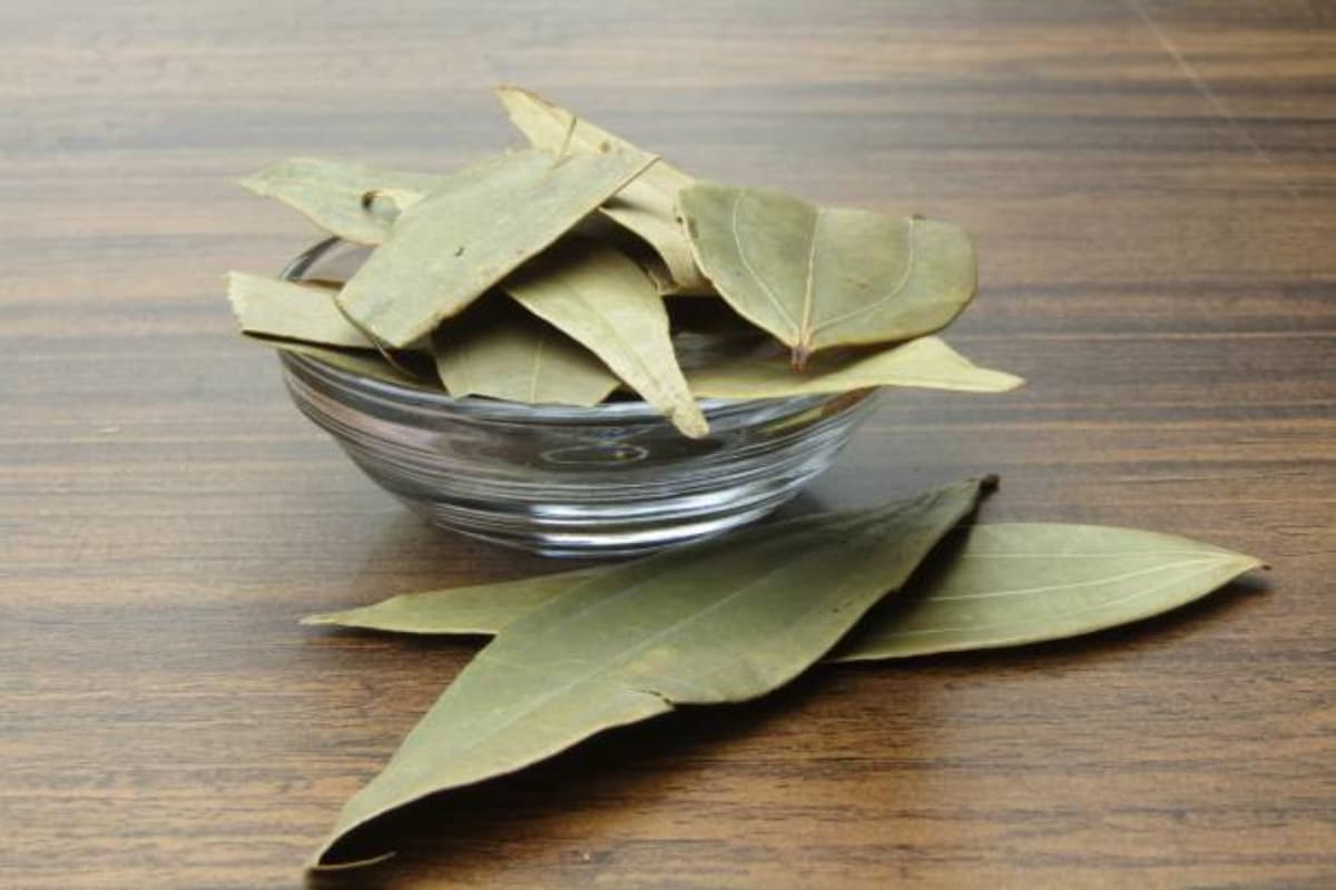 Health Tips: आपको हर रात क्यों जलाना चाहिए तेज पत्ता? जानें कमाल के फायदे
