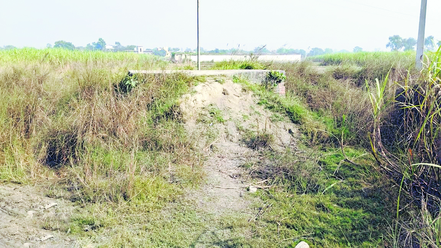 Gopalganj News : 2020 की बाढ़ के बाद से बंद है आवागमन, वजूद खो रही सड़क, पैदल भी गुजरना मुहाल