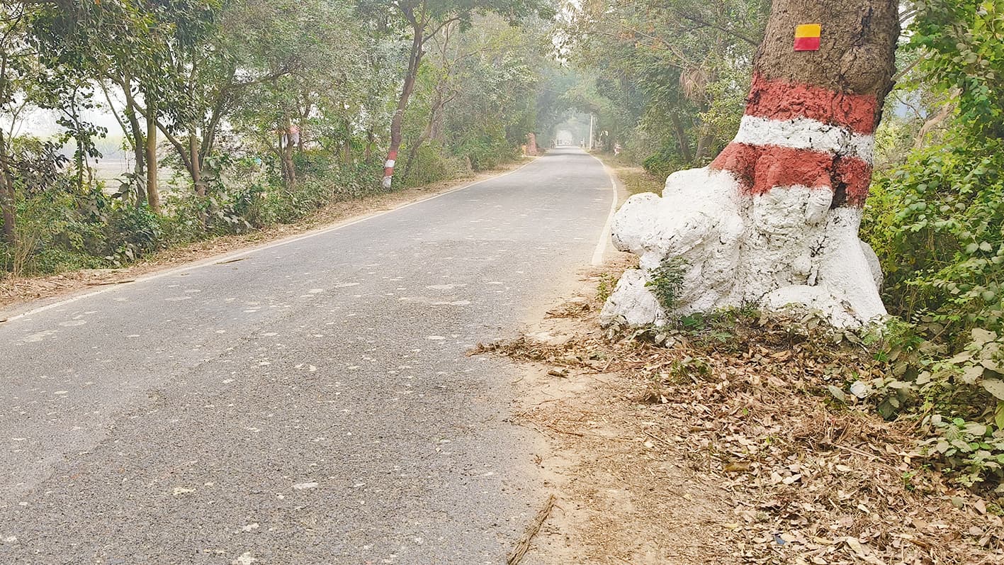 पत्नी की विदाई के लिए सससुराल जा रहे युवक की सड़क हादसे में मौत