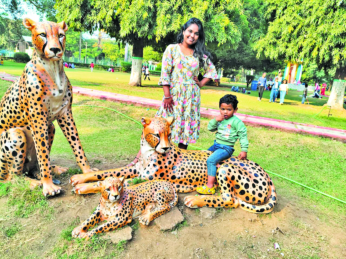 Rourkela News: सैलानियों को खूब भा रहा आइजी पार्क का नव कलेवर, जुबिली पार्क, इस्पात नेहरू पार्क और बसंती सरोवर भी गुलजार