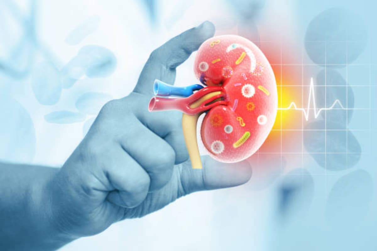Hydronephrosis: गर्भावस्था में भ्रूण की किडनी में सूजन? जानें कारण, लक्षण और इलाज
