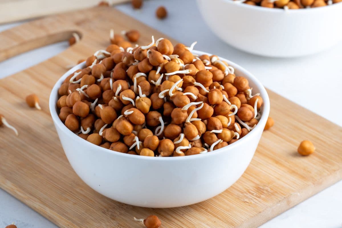 Benefits of Eating Sprouted Chana: अंकुरित चना खाने से मिलते हैं ये 5 फायदे, आज से ही शुरु करें खाना