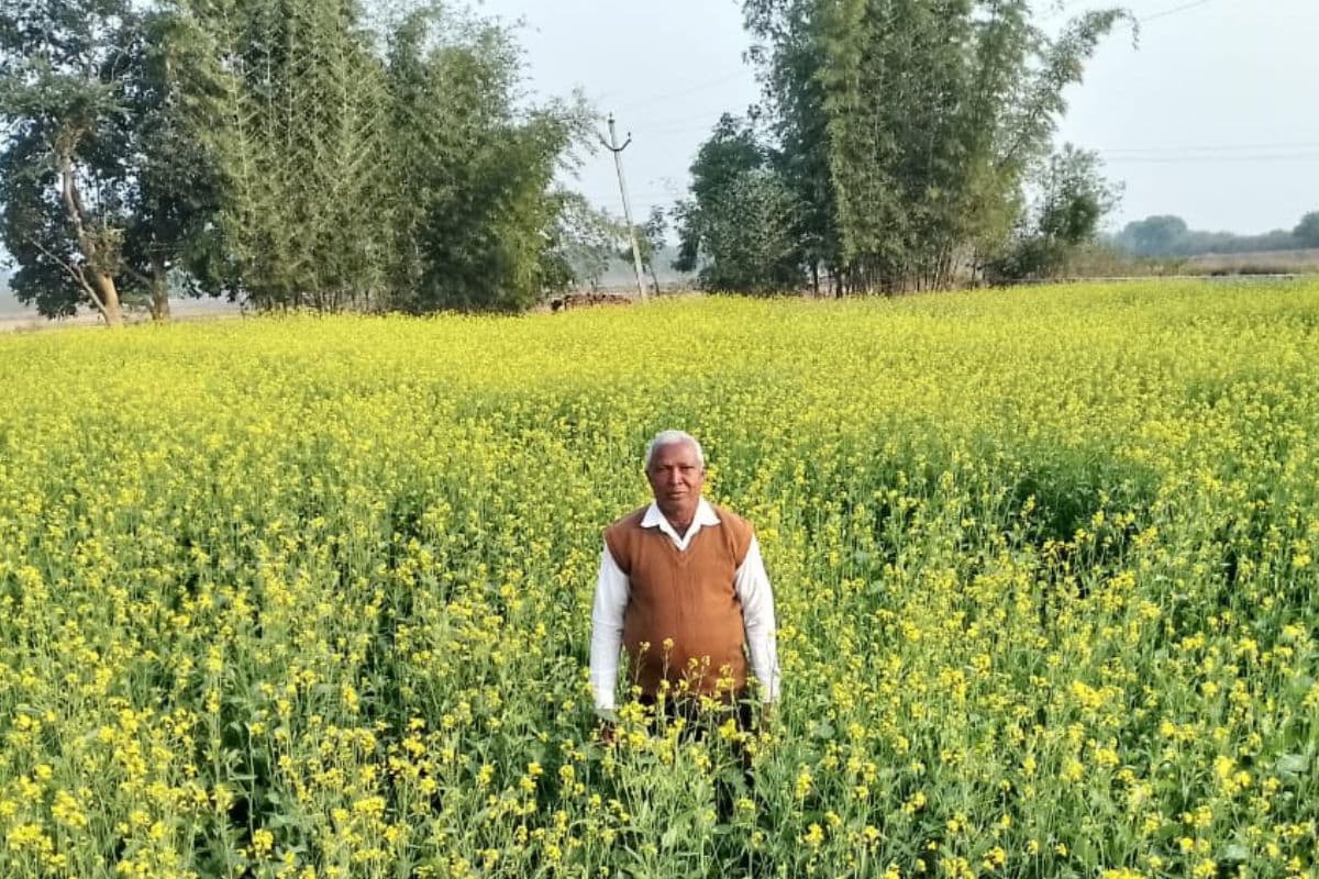Lakhpati Kisan: टीचर से हुए रिटायर तो खेतीबाड़ी को बनाया मिशन, भूपेंद्रनाथ महतो ऐसे बन गए झारखंड के लखपति किसान