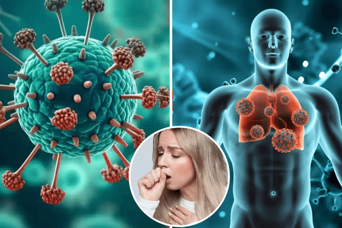 HMPV Virus को लेकर मुजफ्फरपुर में अलर्ट, सावधानी बरतने की सलाह