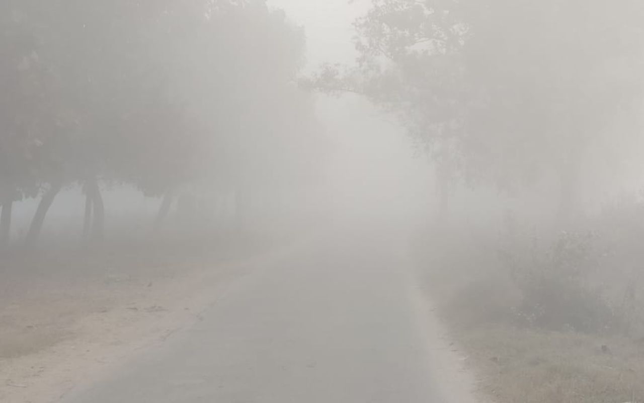 उत्तर भारत से आ रही ठंडी हवाओं और कोहरे ने ढाया कहर, कनकनी बढ़ी, अभी और गिरेगा पारा