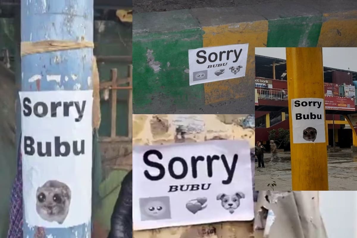 SORRY BUBU: नोएडा से मेरठ तक किसने लगाये अजीब पोस्टर्स? पुलिस के साथ-साथ सोशल मीडिया भी हैरान