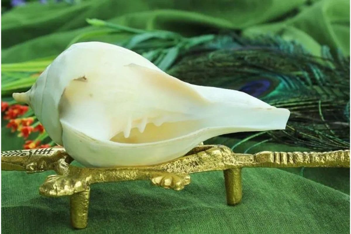 Vastu Tips : घर में ऐसे रखें शंख, मिलेगा धन और सुख-शांति का आशीर्वाद