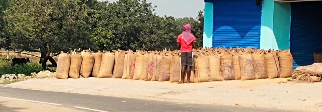 प्रभात पड़ताल: दो माह बाद भी रफ्तार नहीं पकड़ सका एमएसपी पर धान खरीद