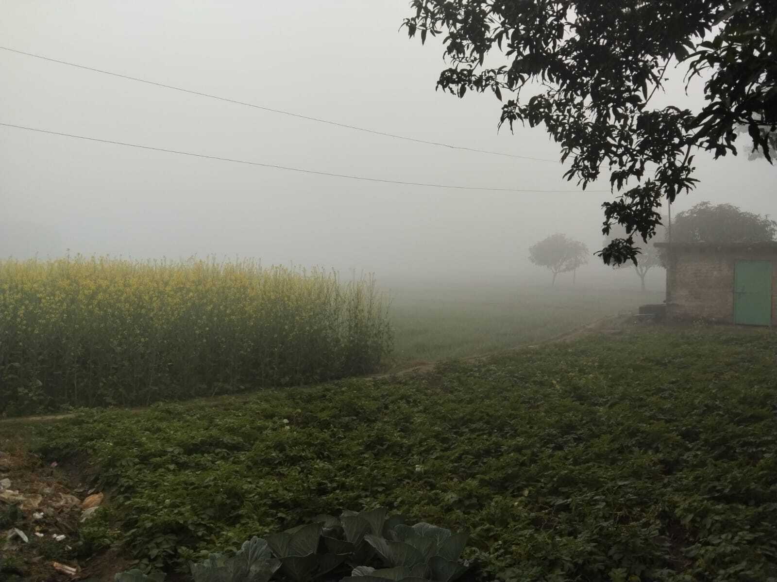 कोहरे की चादर से लिपटा रहा सूर्य, देर से खोली आंखें
