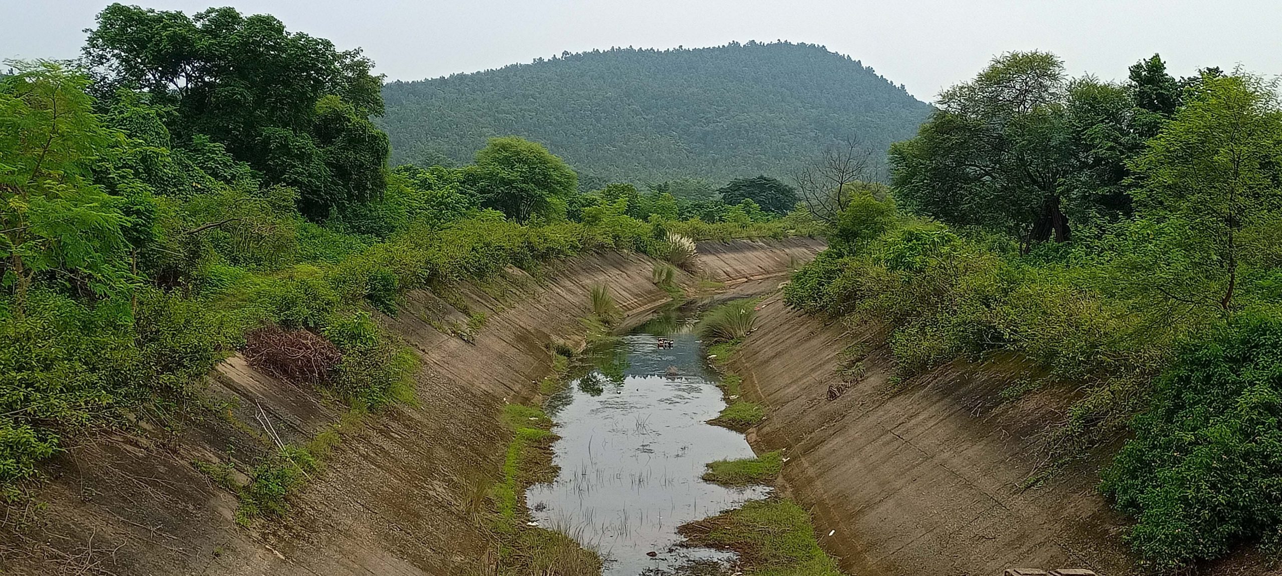 East Singhbhum News : सर! रबी की खेती के लिए नहर में पानी छोड़ें, वरना हम भूखे मर जायेंगे