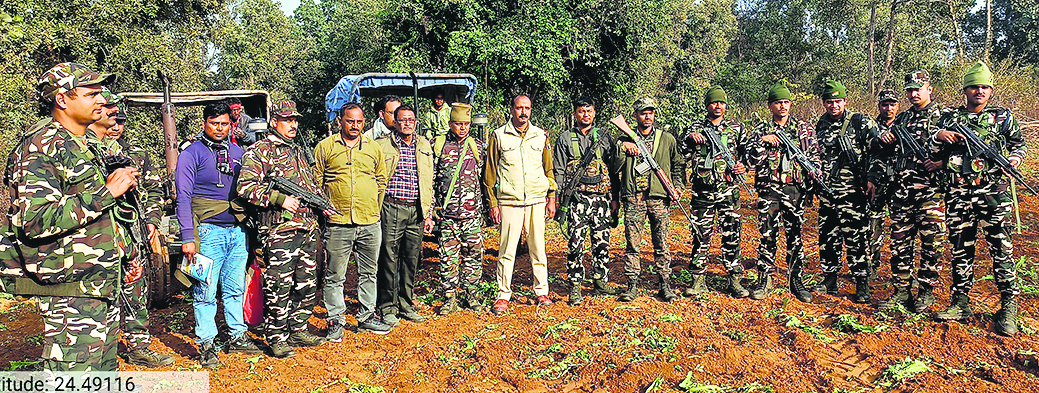 Gaya News : कुंदरी जंगल में 3.42 एकड़ में लगी अफीम की फसल की गयी नष्ट