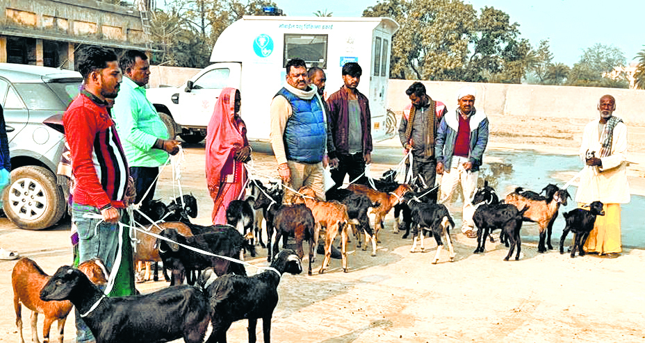 hajipur news. 27 लाभुकों को अनुदानित दर दी गयी उन्नत प्रजाति की बकरियां