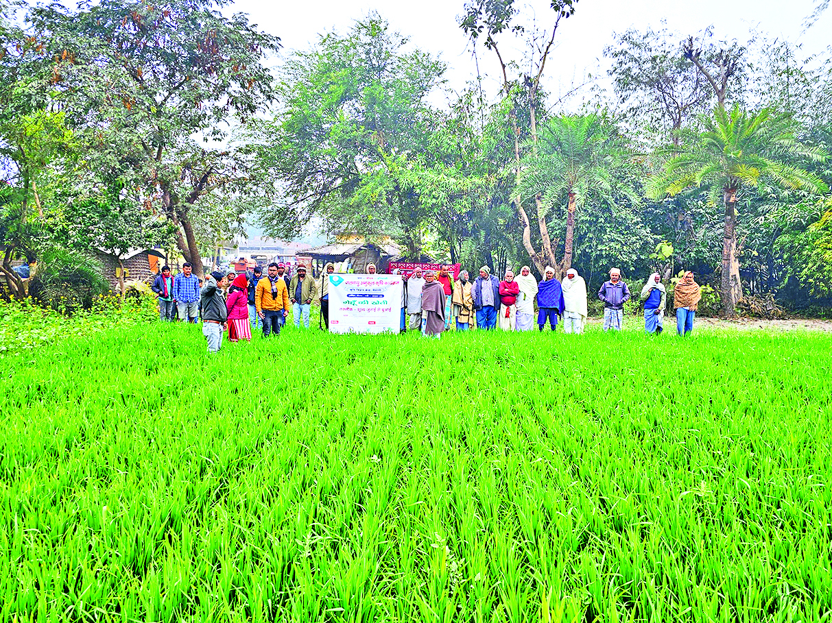 Hajipur News : अच्छी उपज के लिए खेतों में लगाएं एक से ज्यादा फसलें